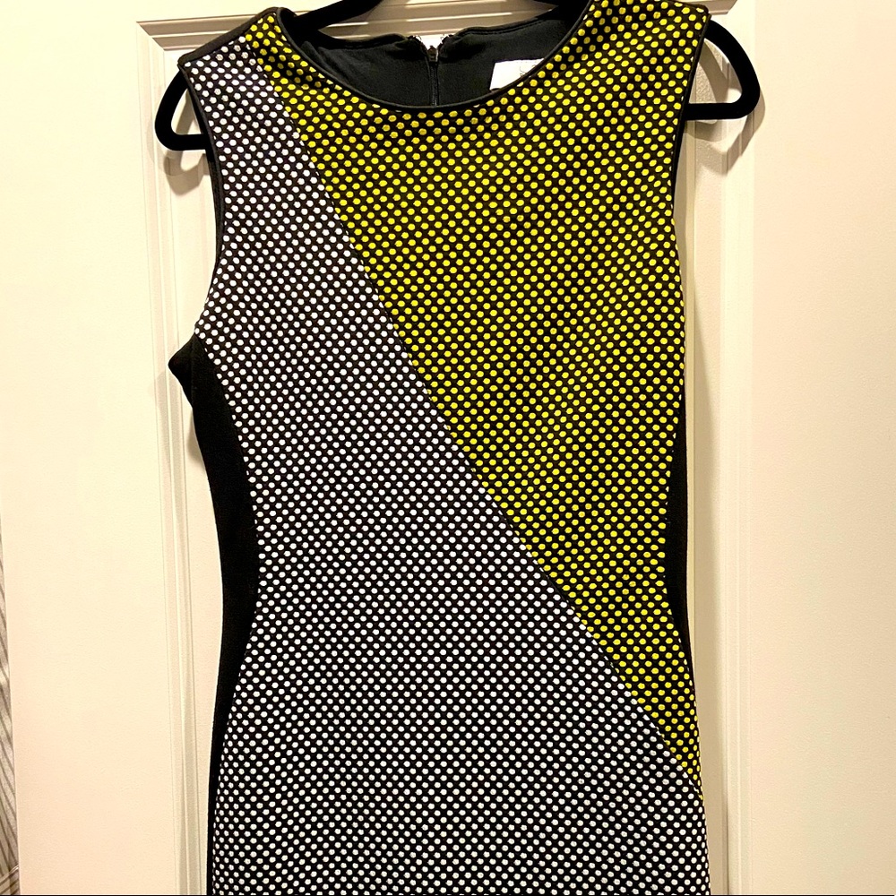 Badgley Mischka Dress